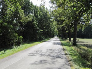 Lilla vägen mellan Mörbylånga och Kastlösa